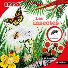 Les insectes - Zürcher Muriel - Hurtrez Stéphane - Bessard Sylvie