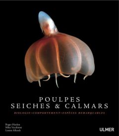 Poulpes, seiches et calmars. Biologie, comportement, espèces remarquables - Hanlon Roger - Vecchione Mike - Allcock Louise - L